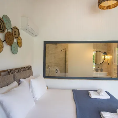 Villa Nealevissi - Neasamos Kayakoy
